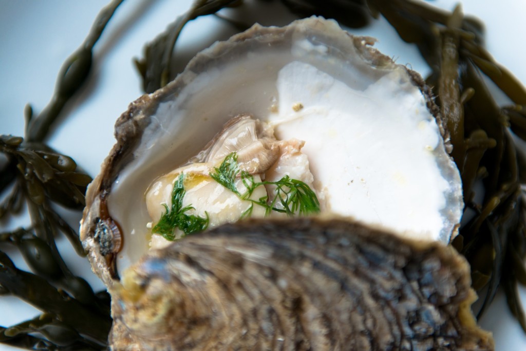 Danish oyster boot camp (look away now if you don't like oysters ...